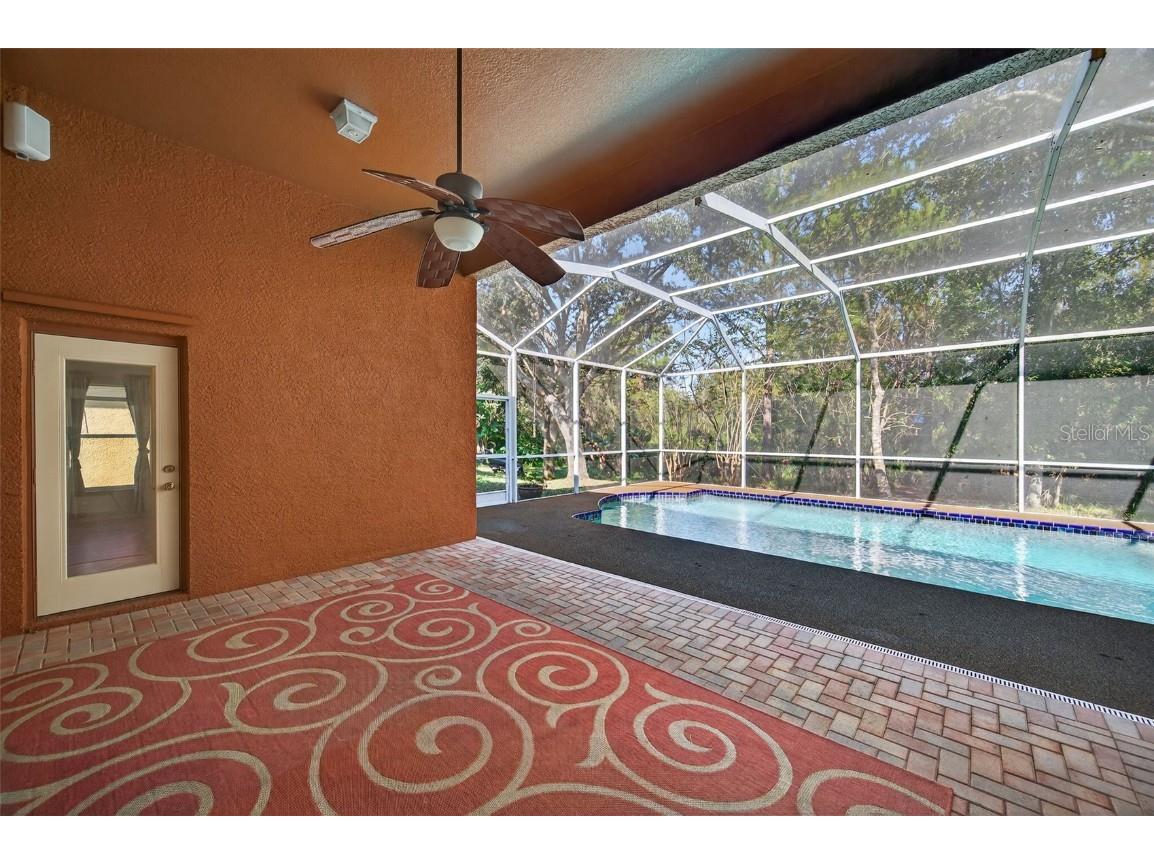 19156 Dove Creek Drive Tampa FL 33647 TB8385689 image64