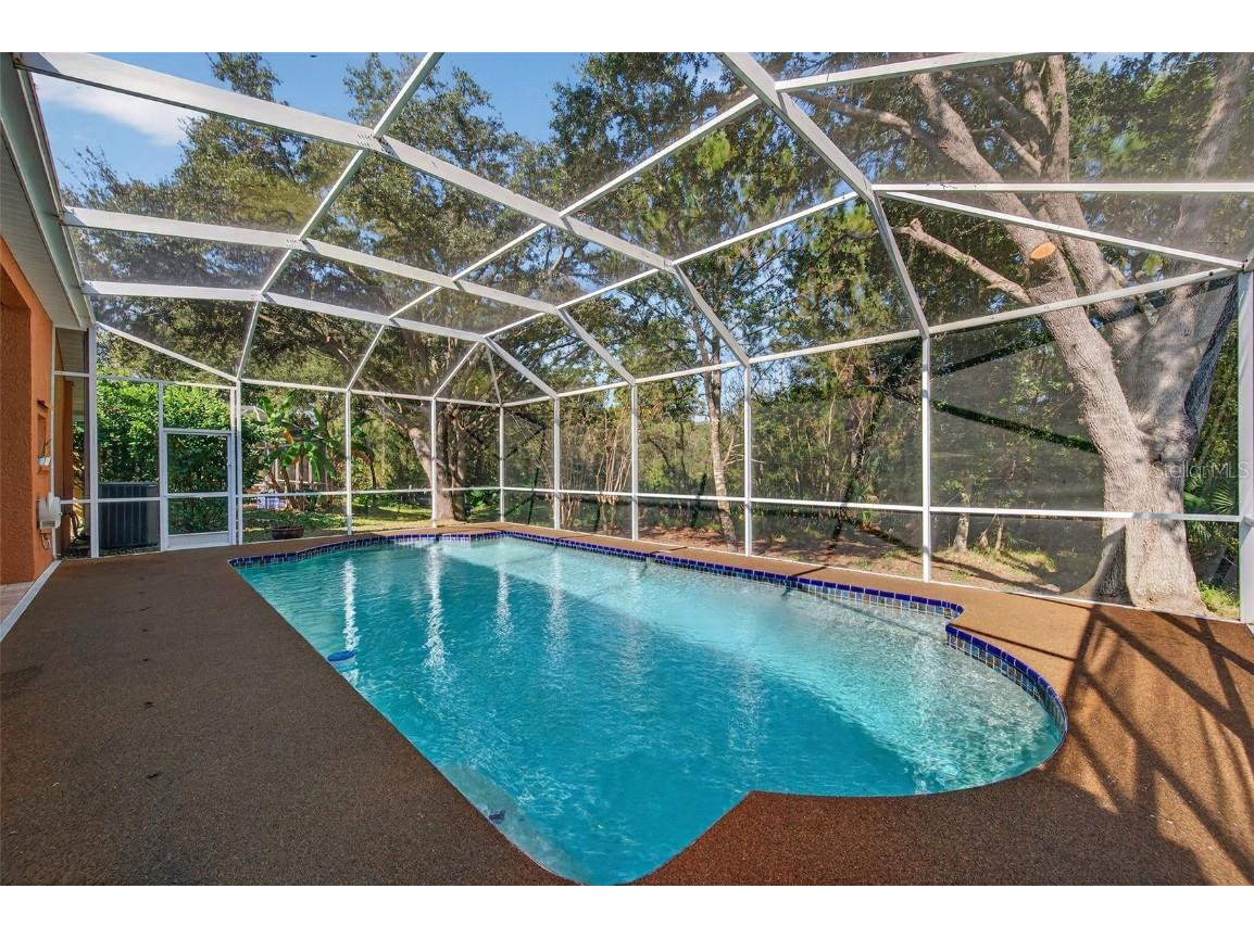 19156 Dove Creek Drive Tampa FL 33647 TB8385689 image65