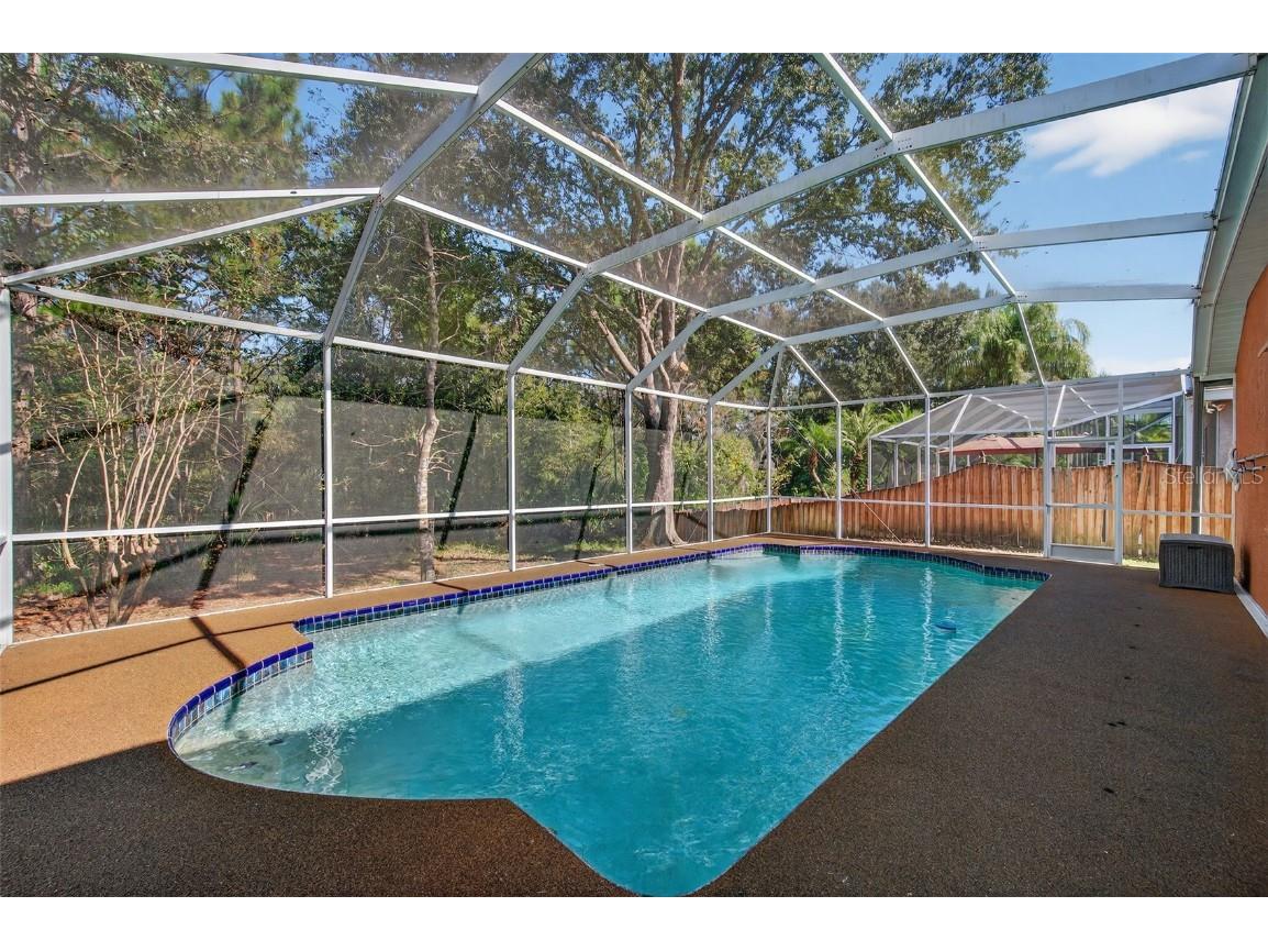 19156 Dove Creek Drive Tampa FL 33647 TB8385689 image67