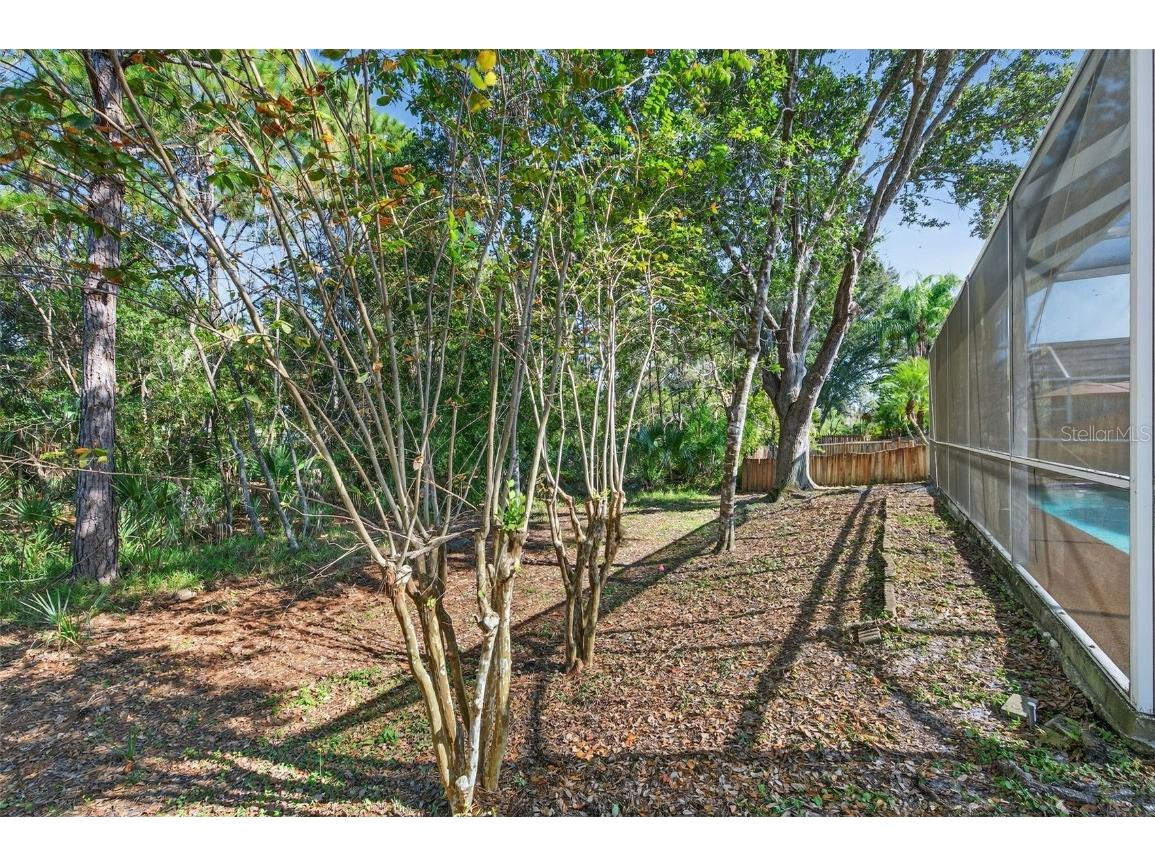 19156 Dove Creek Drive Tampa FL 33647 TB8385689 image69