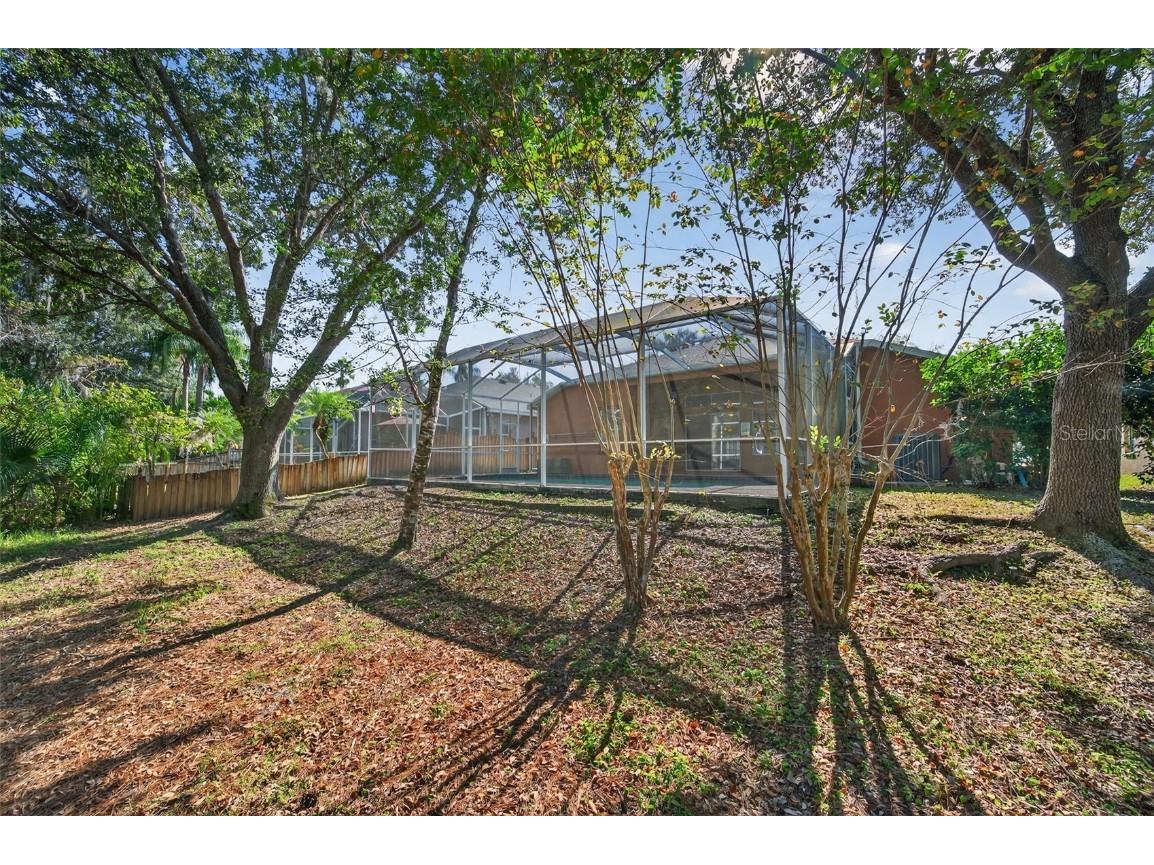 19156 Dove Creek Drive Tampa FL 33647 TB8385689 image70