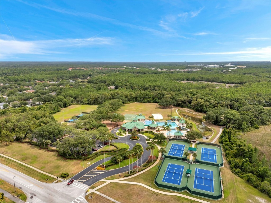 19156 Dove Creek Drive Tampa FL 33647 TB8385689 image73