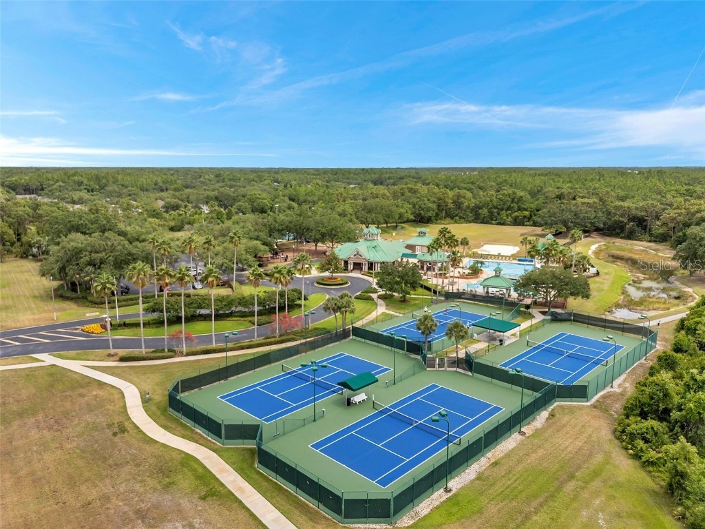 19156 Dove Creek Drive Tampa FL 33647 TB8385689 image74