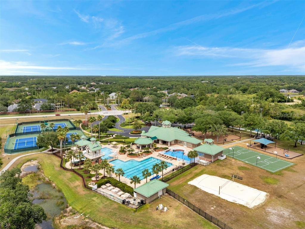 19156 Dove Creek Drive Tampa FL 33647 TB8385689 image78