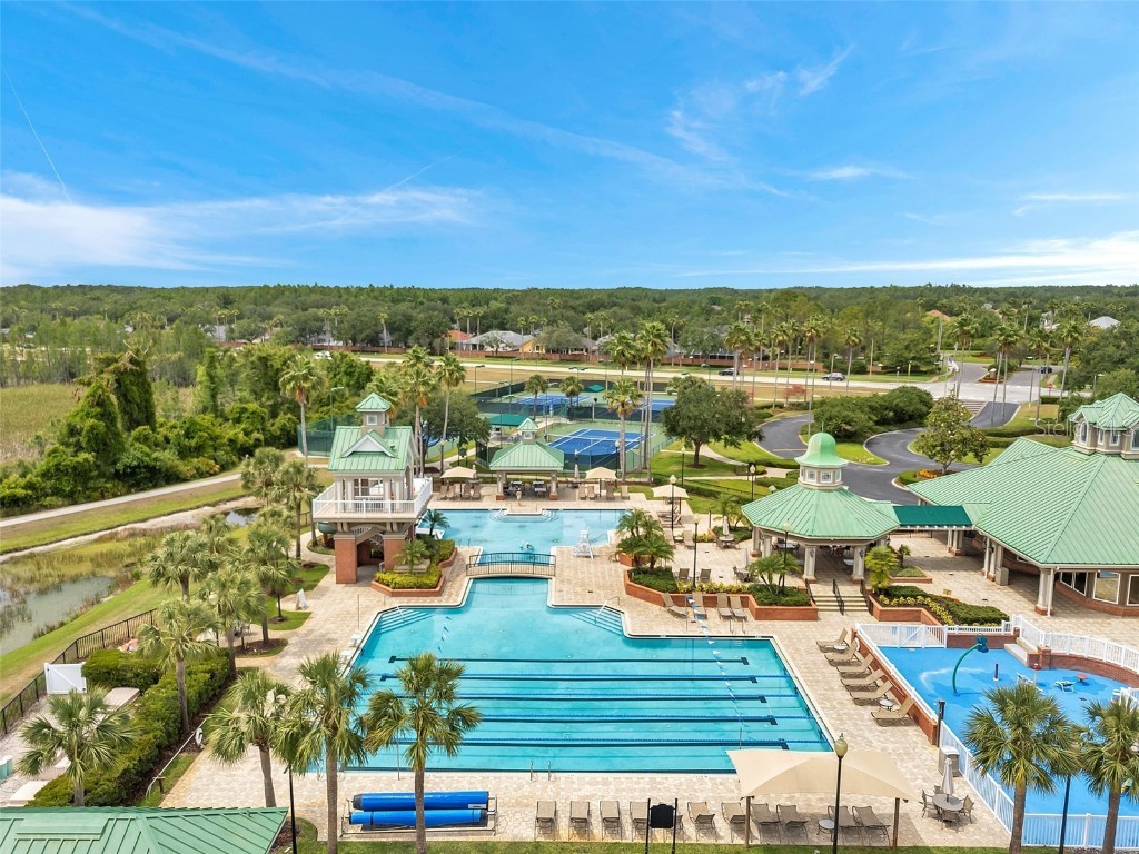 19156 Dove Creek Drive Tampa FL 33647 TB8385689 image79