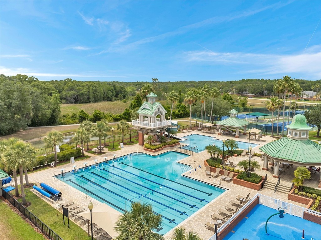 19156 Dove Creek Drive Tampa FL 33647 TB8385689 image80