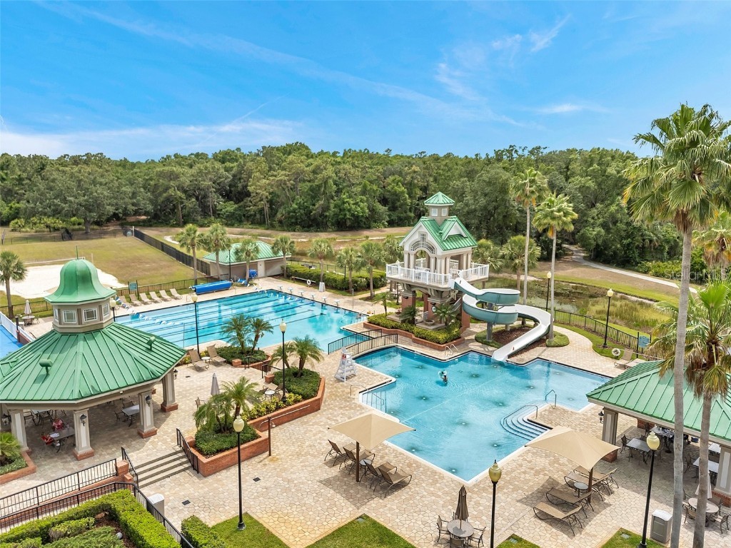 19156 Dove Creek Drive Tampa FL 33647 TB8385689 image83