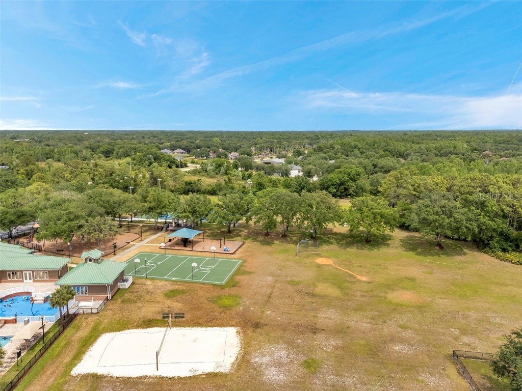 19156 Dove Creek Drive Tampa FL 33647 TB8385689 image84