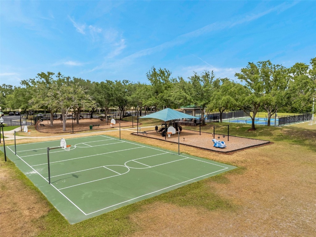 19156 Dove Creek Drive Tampa FL 33647 TB8385689 image86