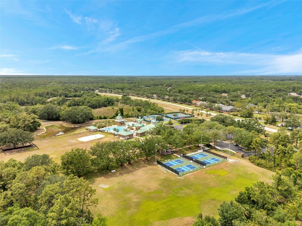 19156 Dove Creek Drive Tampa FL 33647 TB8385689 image88