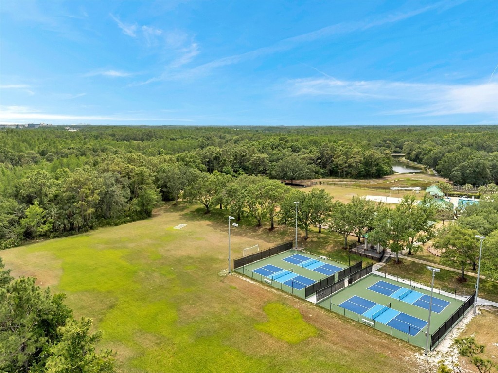 19156 Dove Creek Drive Tampa FL 33647 TB8385689 image90