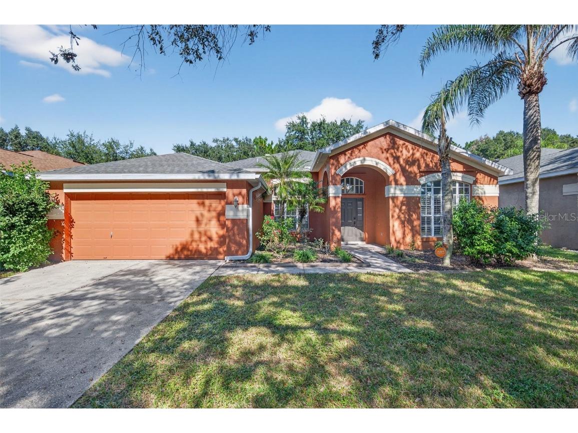 19156 Dove Creek Drive Tampa FL 33647 TB8385689 image97