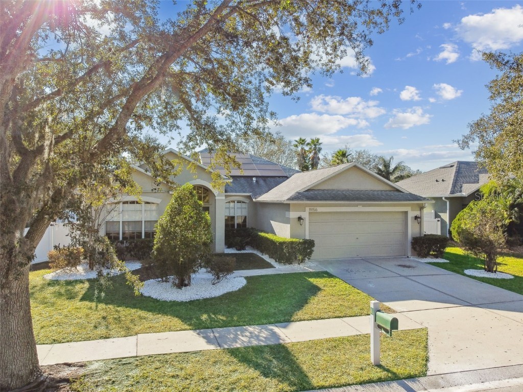 19156 Meadow Pine Drive Tampa FL 33647 TB8326863 image1