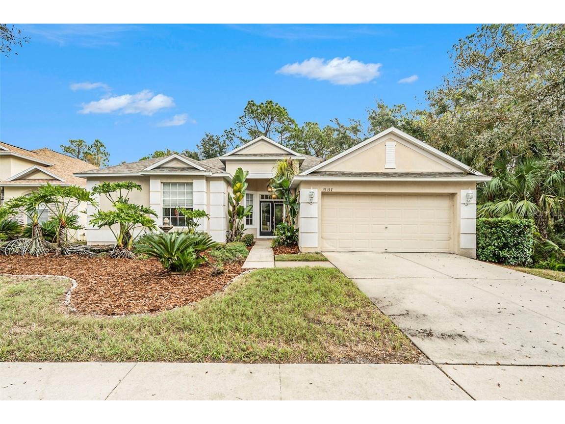 19157 Meadow Pine Drive Tampa FL 33647 TB8334388 image1