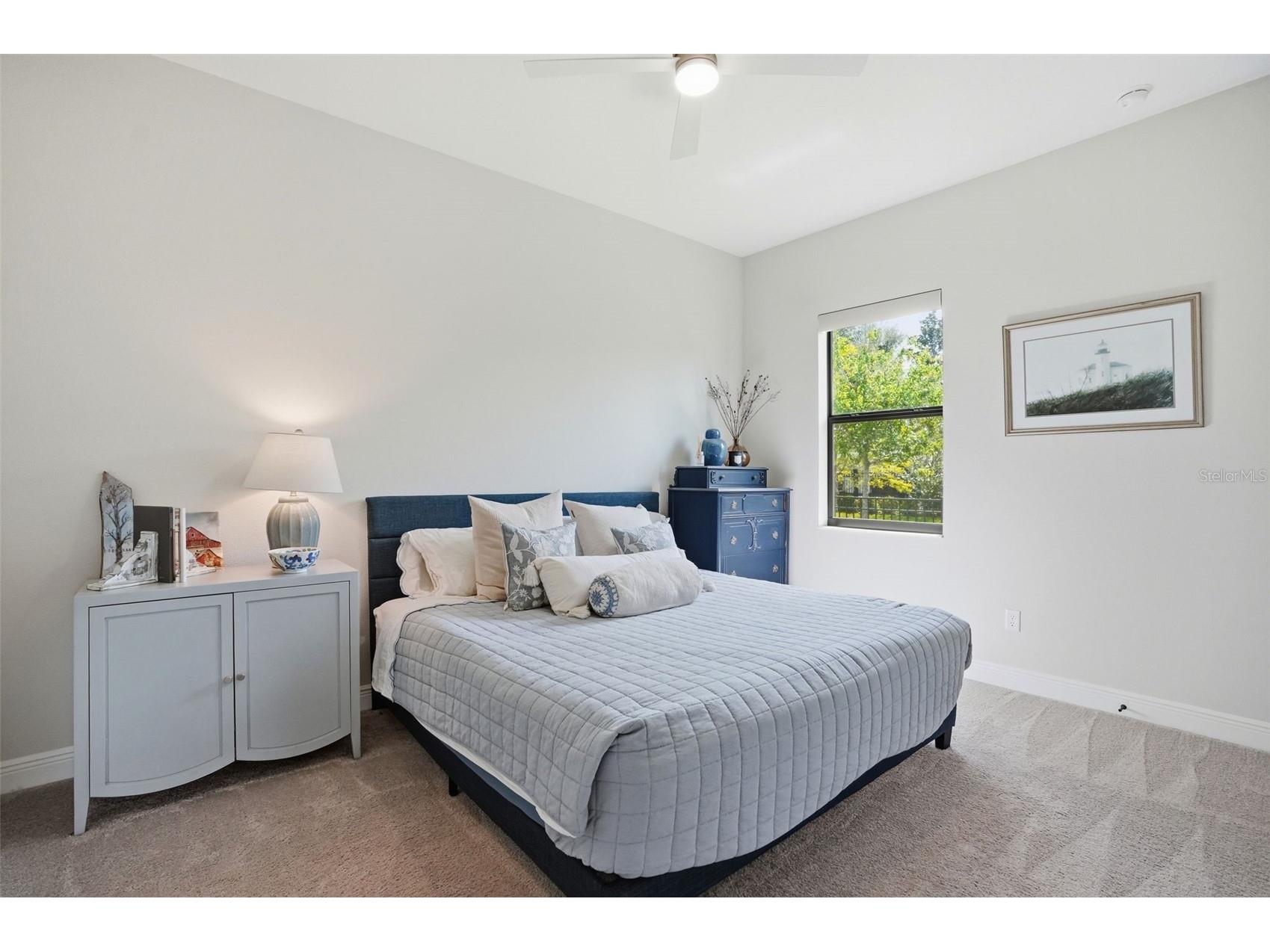 1916 Jullee Lane Palm Harbor FL 34683 TB8512703 image43