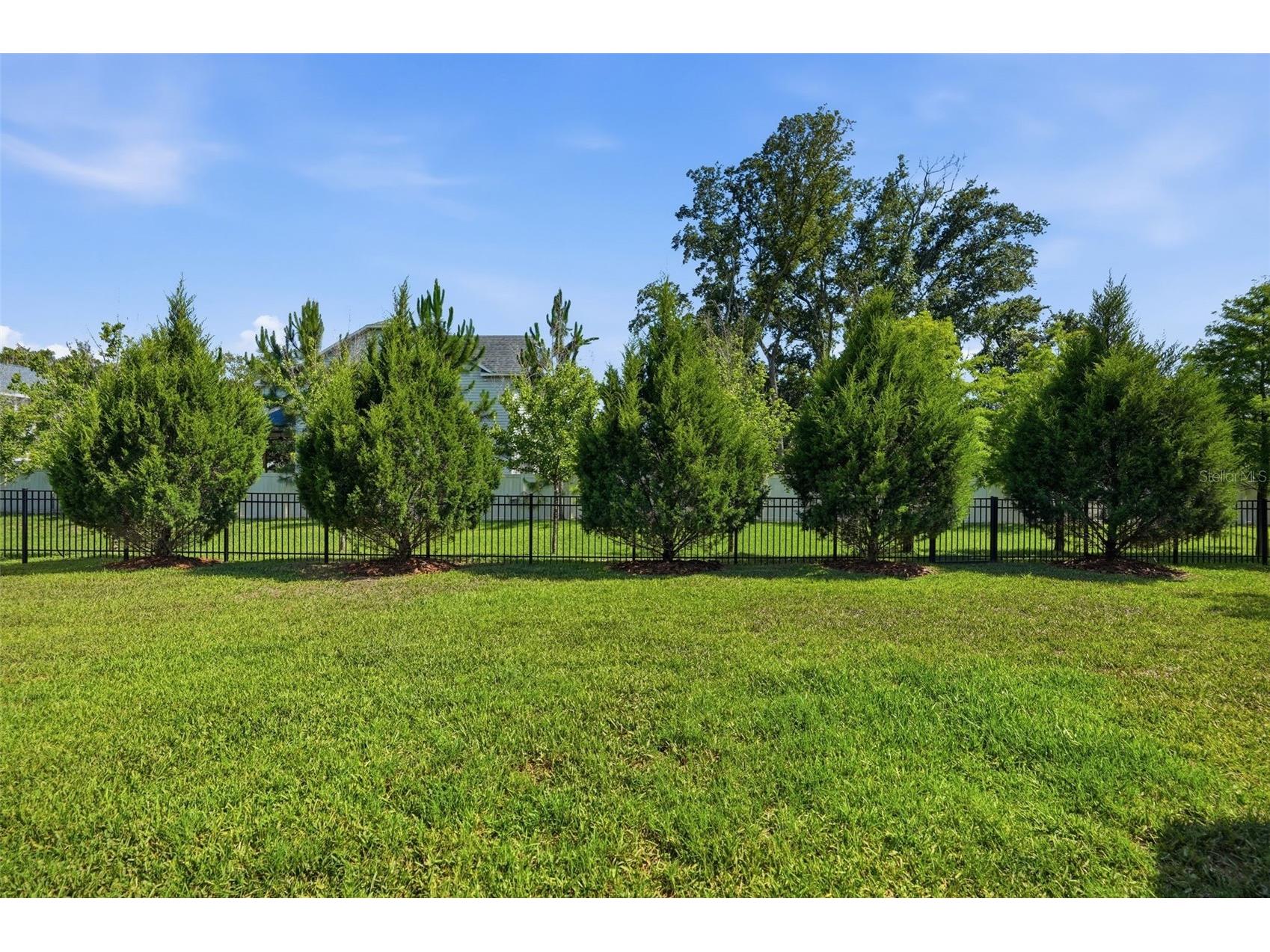 1916 Jullee Lane Palm Harbor FL 34683 TB8512703 image68