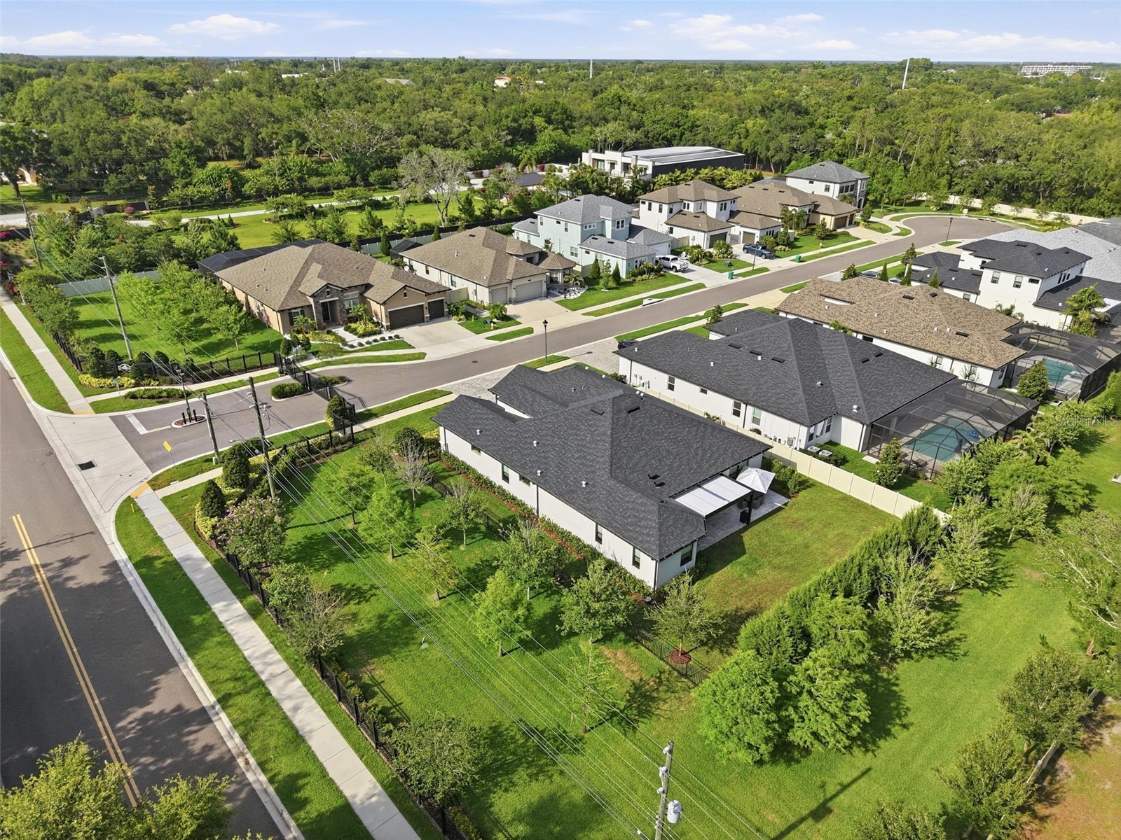 1916 Jullee Lane Palm Harbor FL 34683 TB8512703 image70