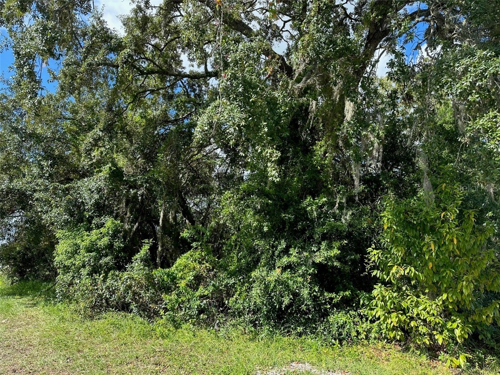 1916 Landover Boulevard Spring Hill FL 34608 T3465658 image1