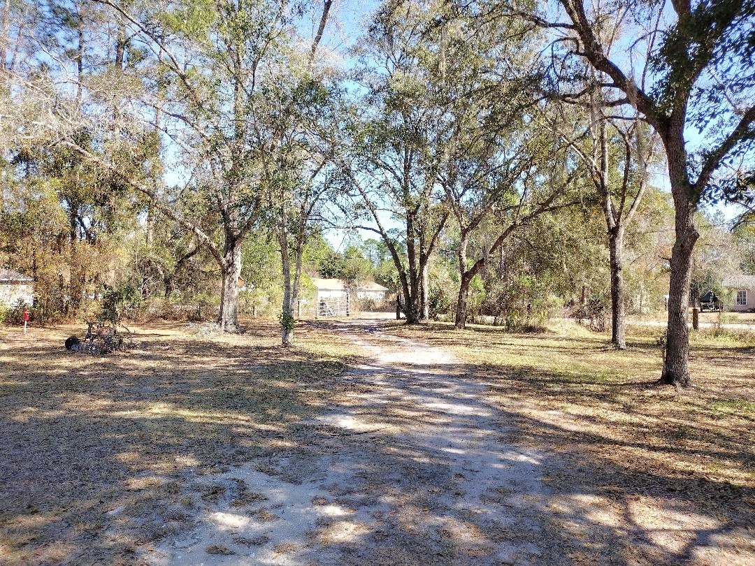 1916 Laurel Avenue Bunnell FL 32110 FC316163 image29
