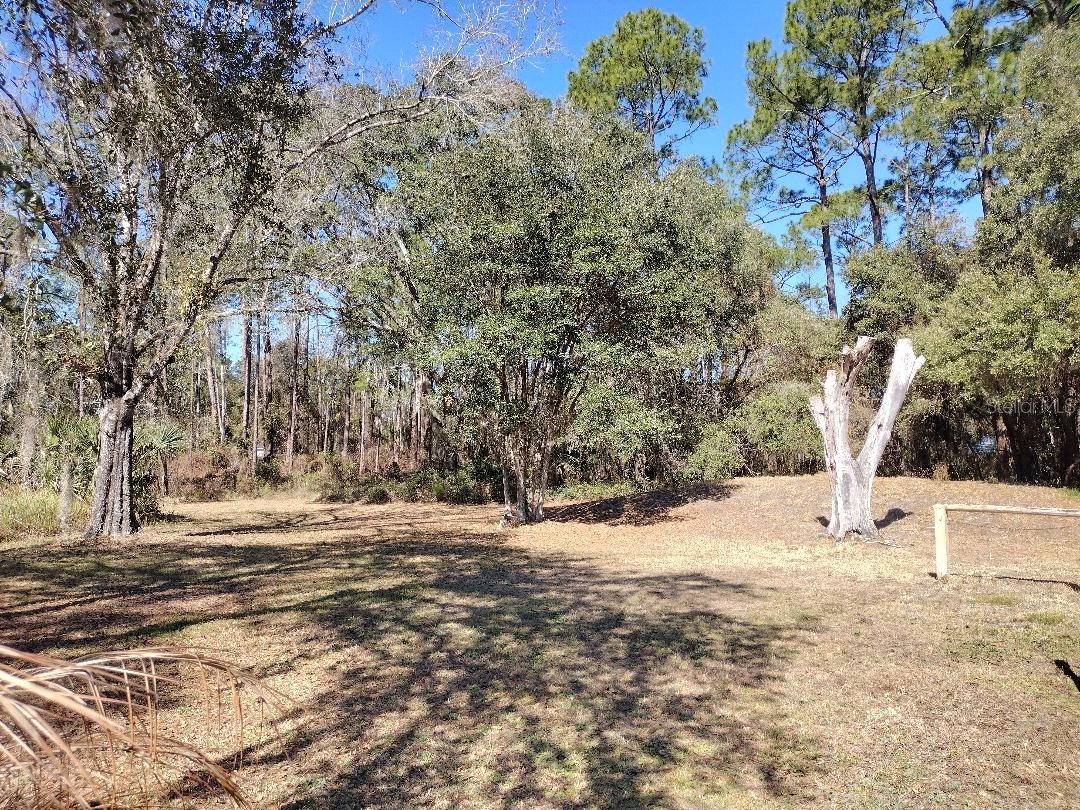 1916 Laurel Avenue Bunnell FL 32110 FC316163 image31