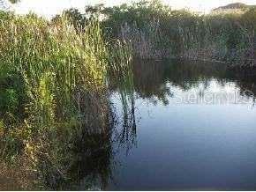 1916 NE 33rd Lane Cape Coral FL 33909 O6389522 image2