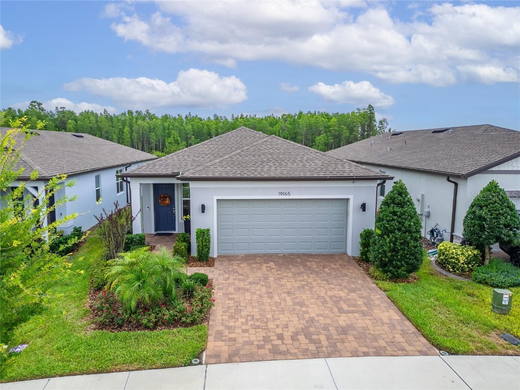 19165 Iron Topsail Isle Land O Lakes FL 34638 S5127925 image1