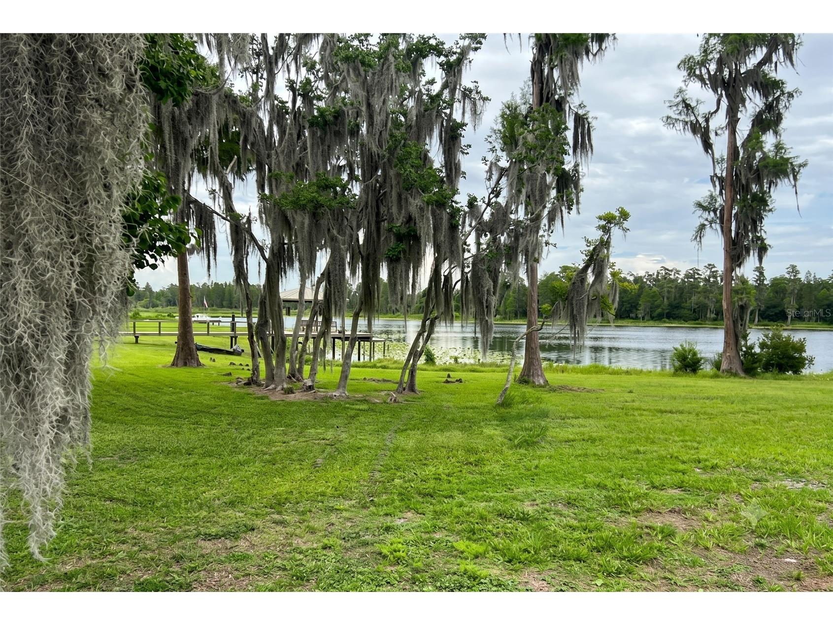 19165 Pease Place Lutz FL 33558 - MARY LOU LAKE TB8514743 image2
