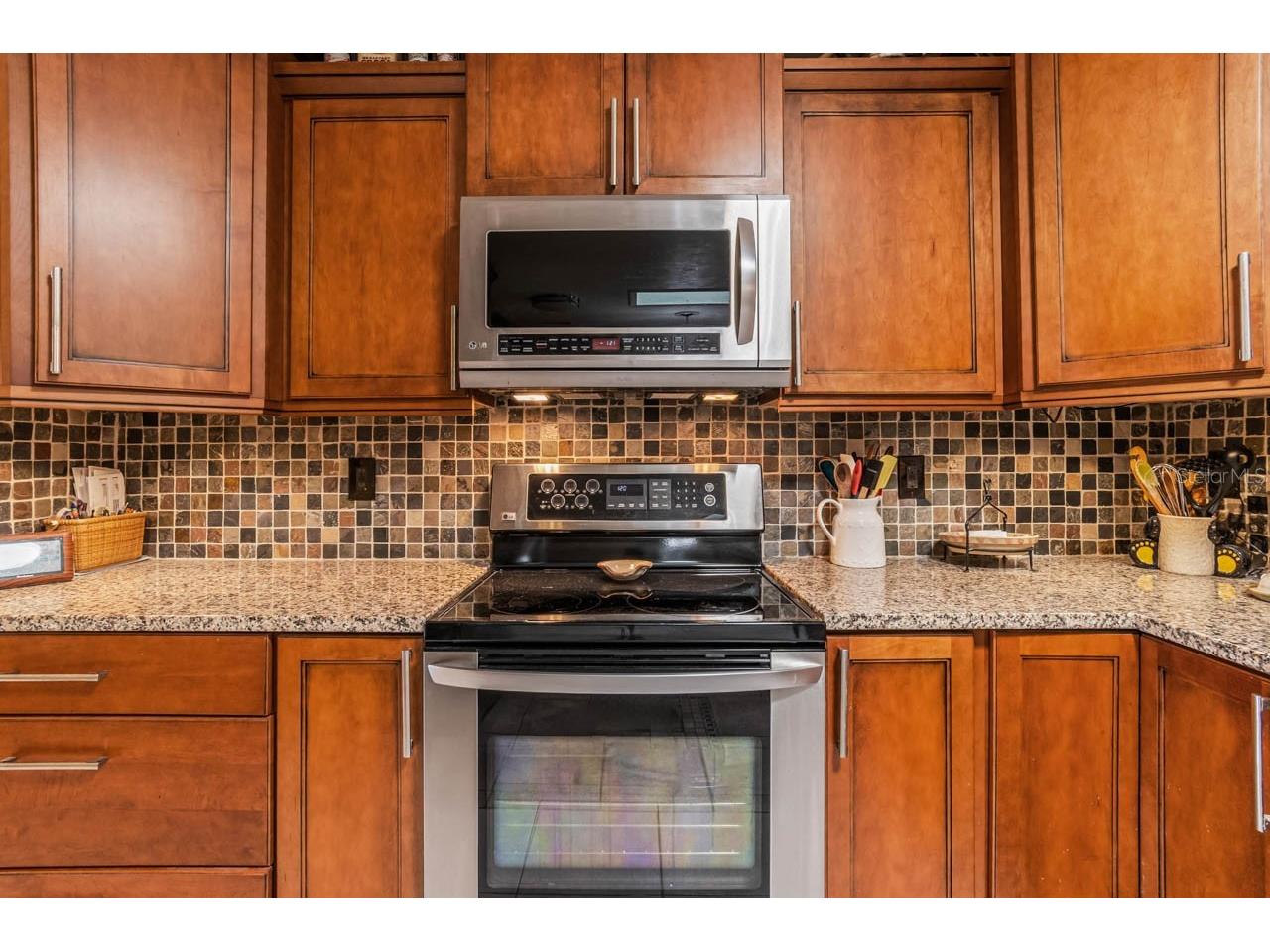 1917 E View Drive Sun City Center FL 33573 TB8481195 image29
