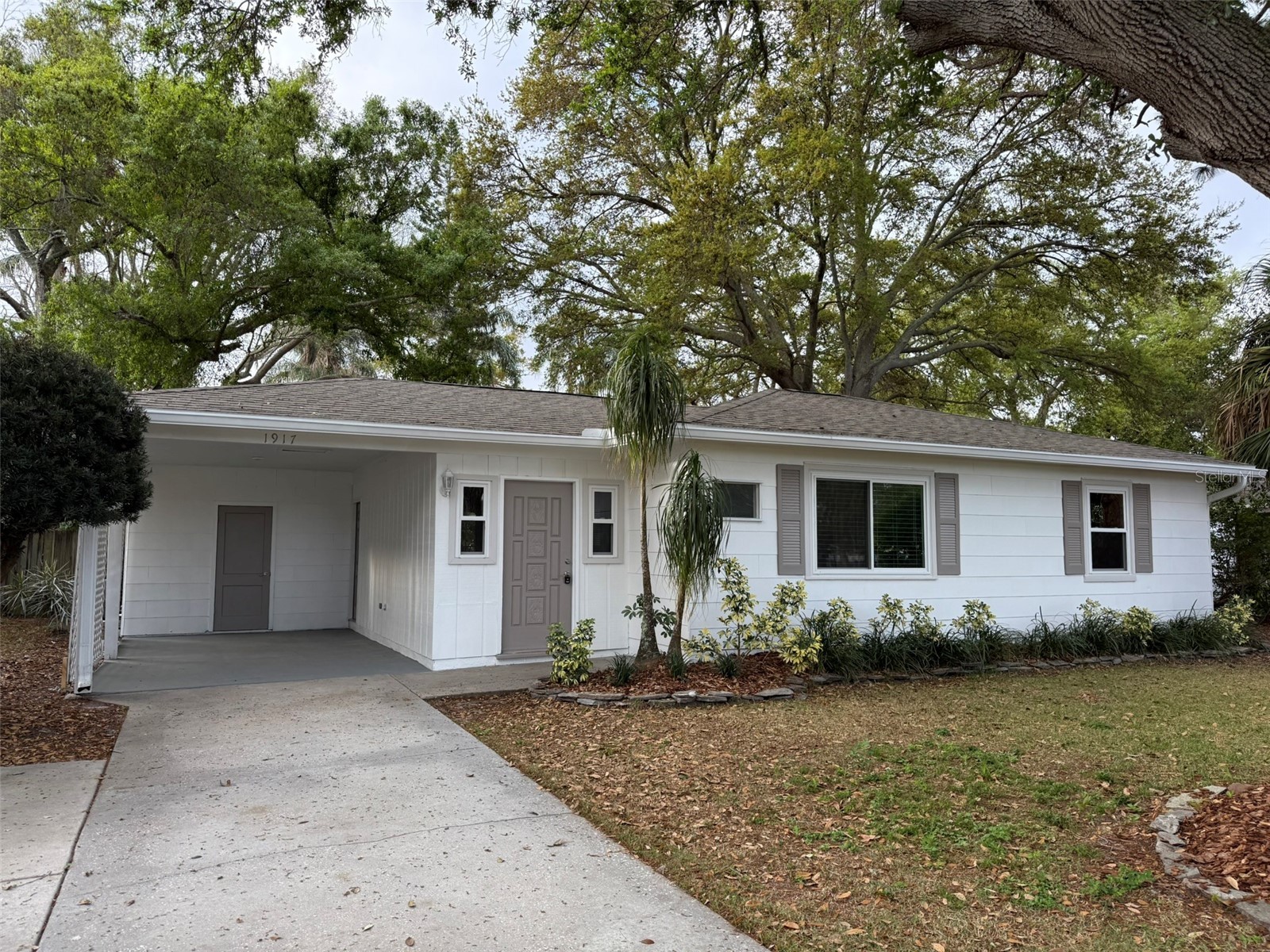 1917 Gilbert Street Clearwater FL 33765 TB8481337 image12