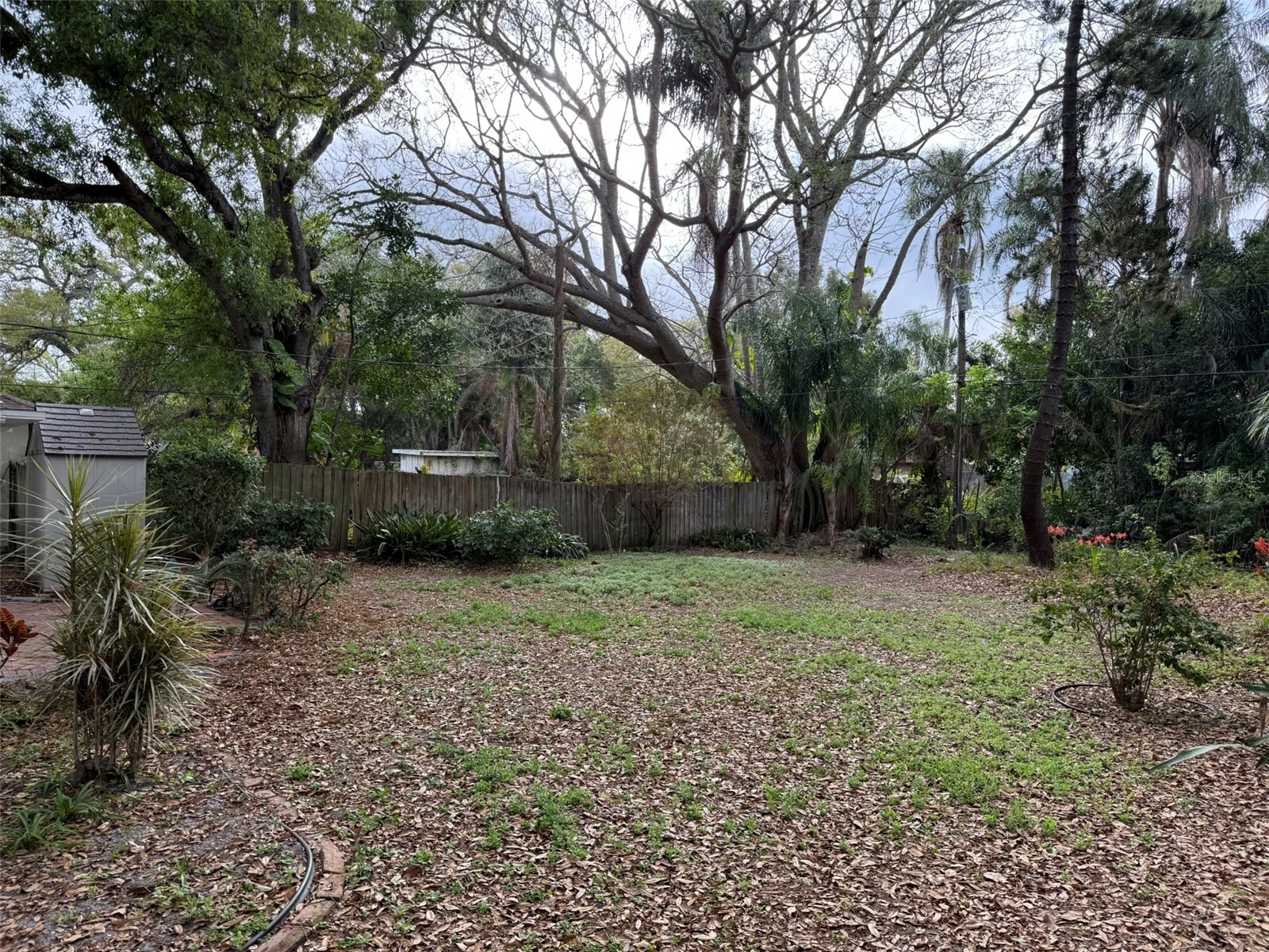 1917 Gilbert Street Clearwater FL 33765 TB8481337 image15