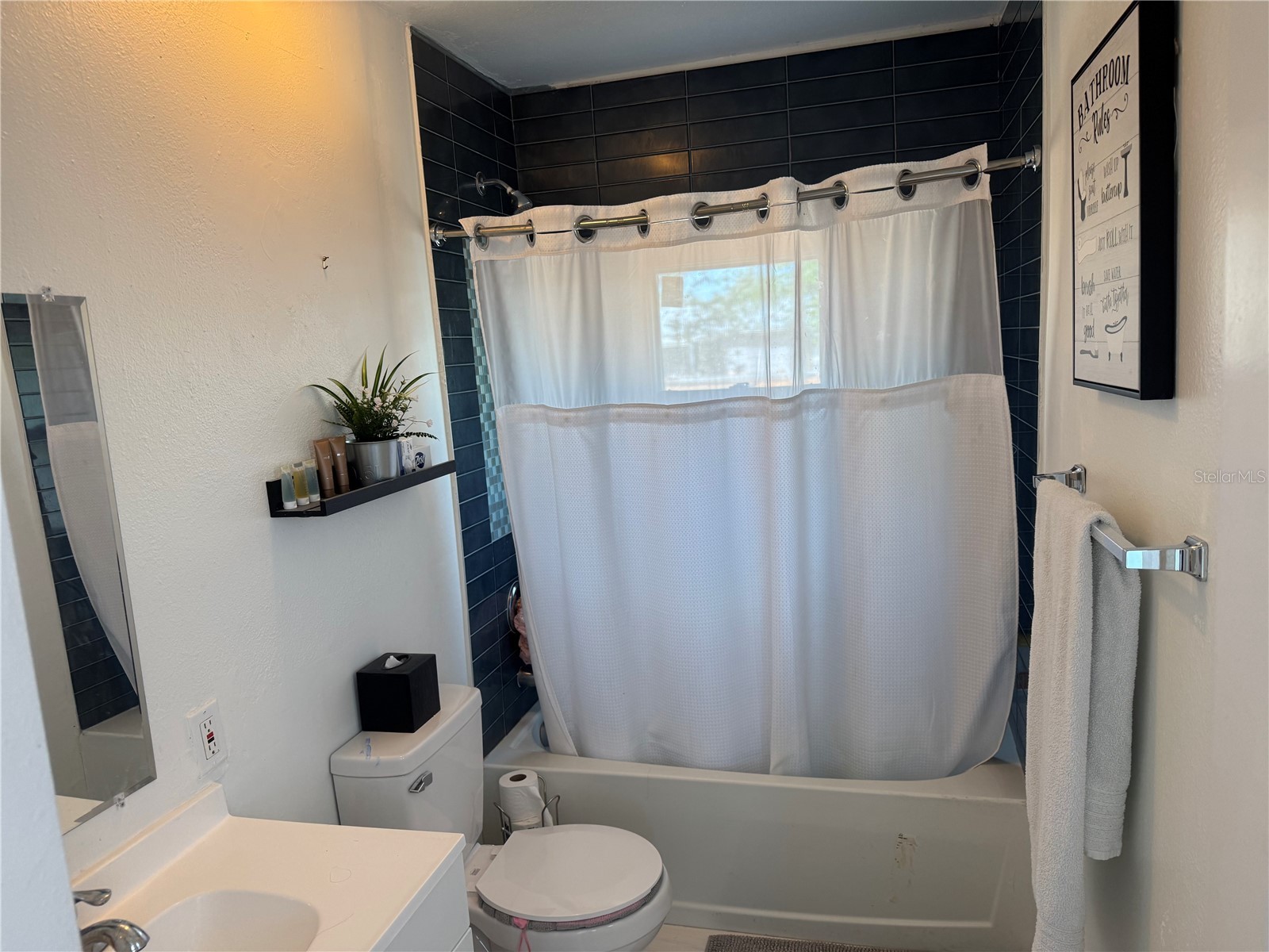 1917 W Fig Street Tampa FL 33606 TB8511724 image7