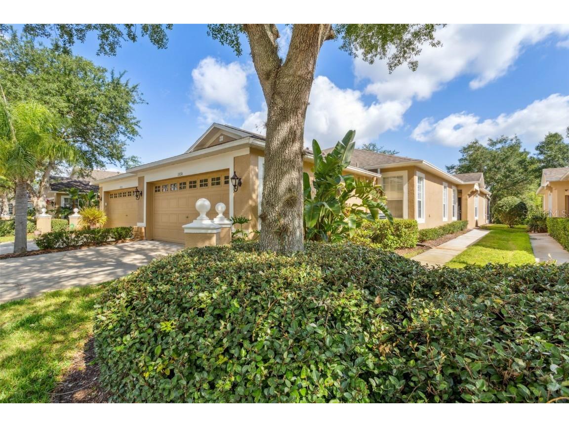 19174 Lake Audubon Drive Tampa FL 33647 T3443666 image1