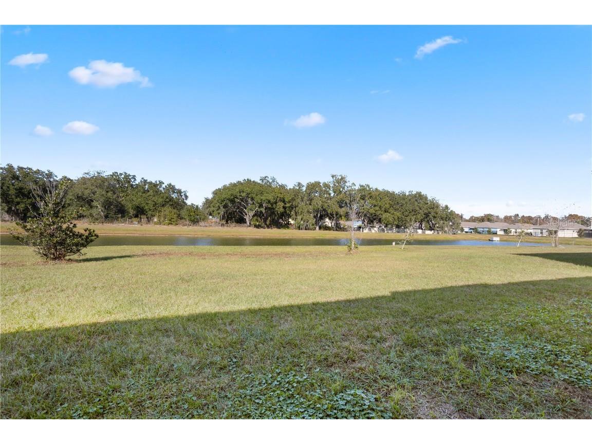 1918 Birnham Wood Bend Kissimmee FL 34746 S5141278 image30