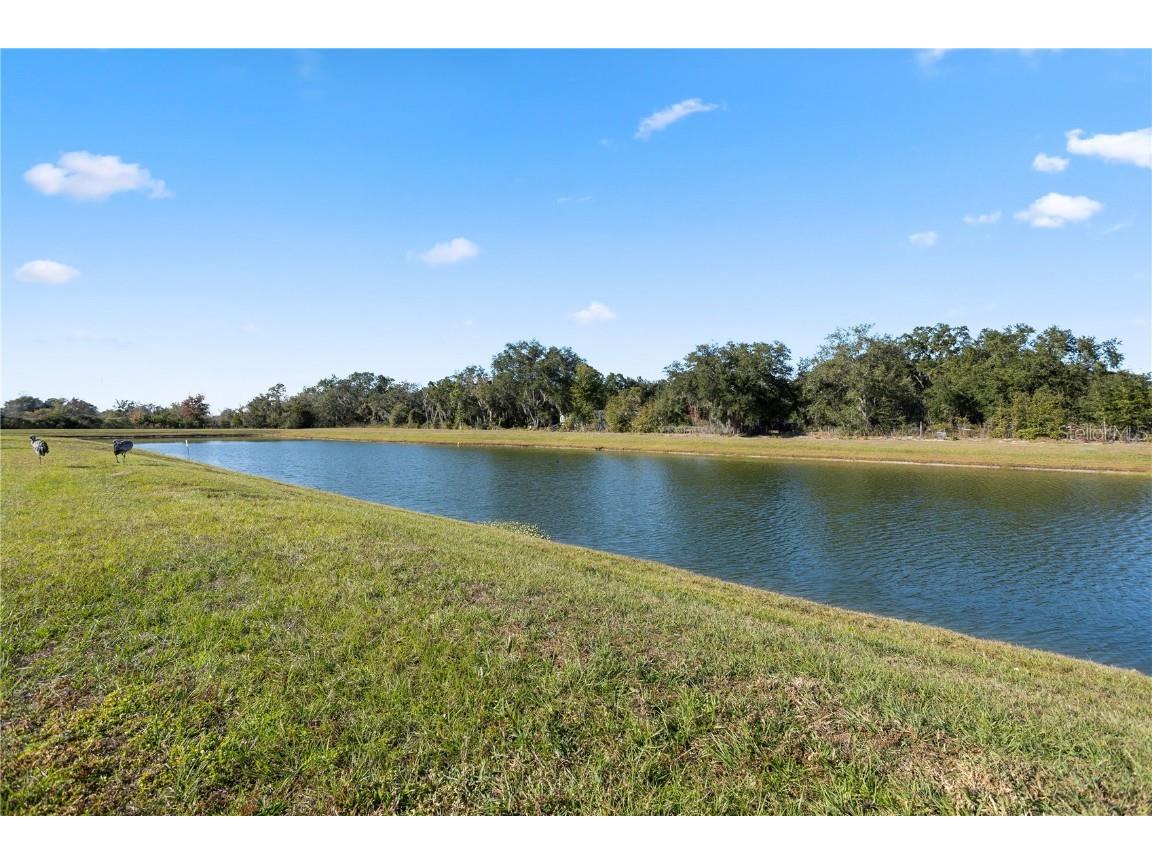 1918 Birnham Wood Bend Kissimmee FL 34746 S5141278 image34