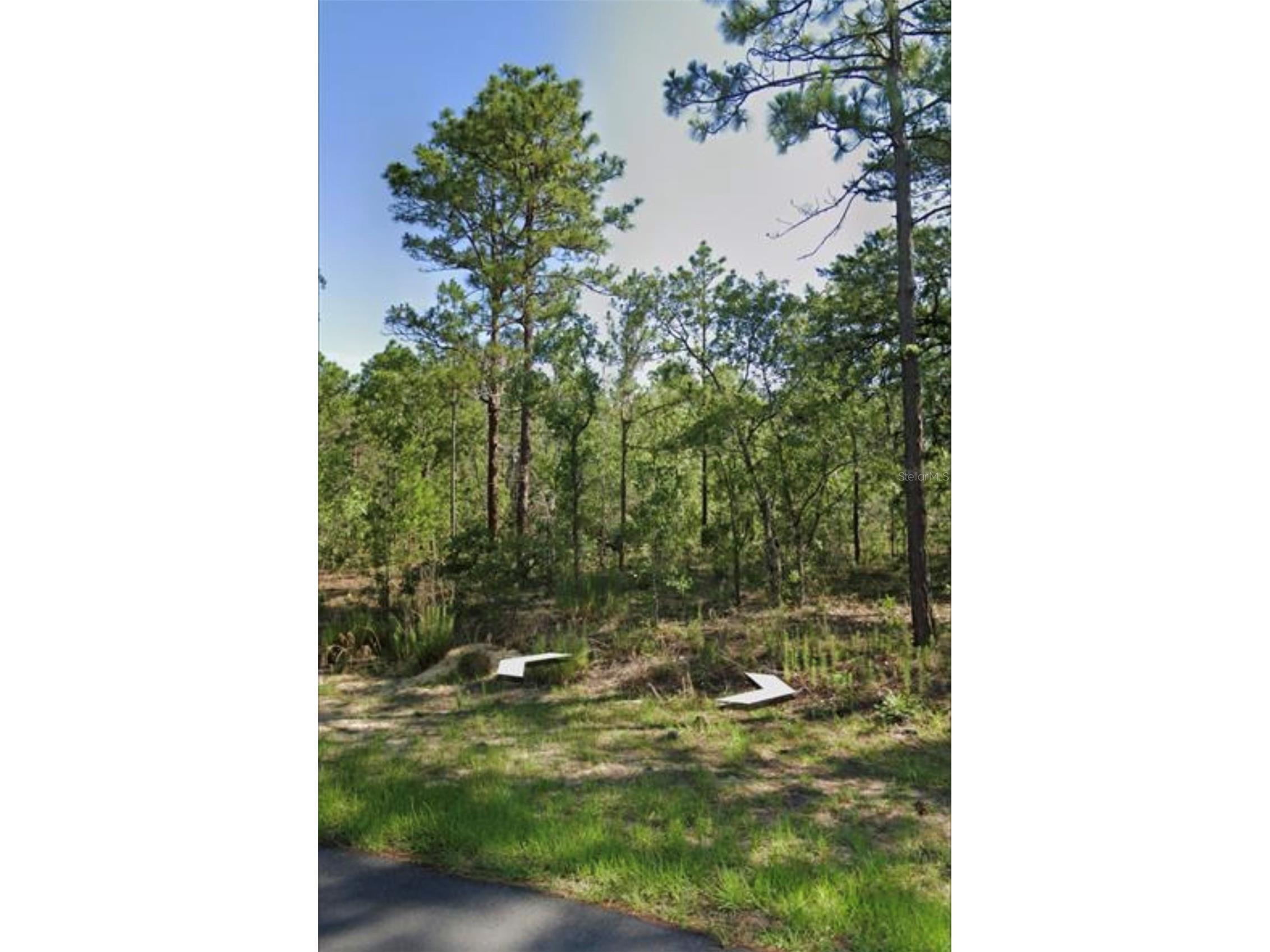 1918 Cr 243 C Wildwood FL 34785 J997480 image1