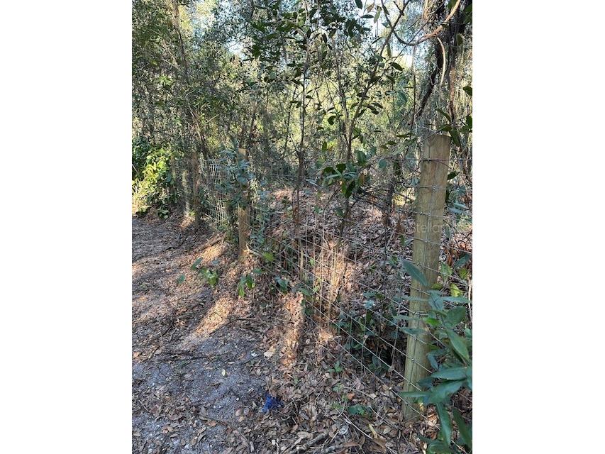 1918 Mountain Lake Cutoff Road Lake Wales FL 33859 O6265623 image32