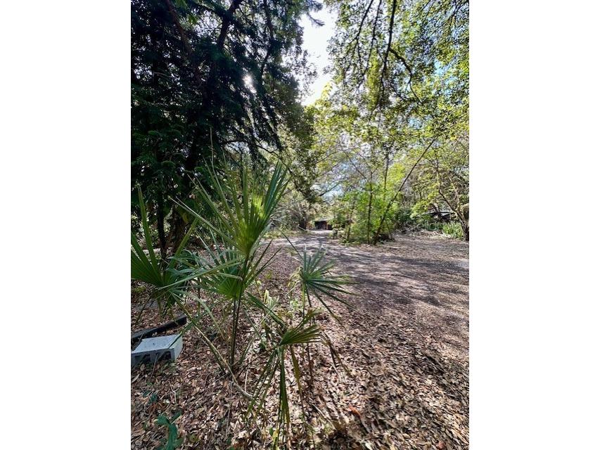 1918 Mountain Lake Cutoff Road Lake Wales FL 33859 O6265623 image34