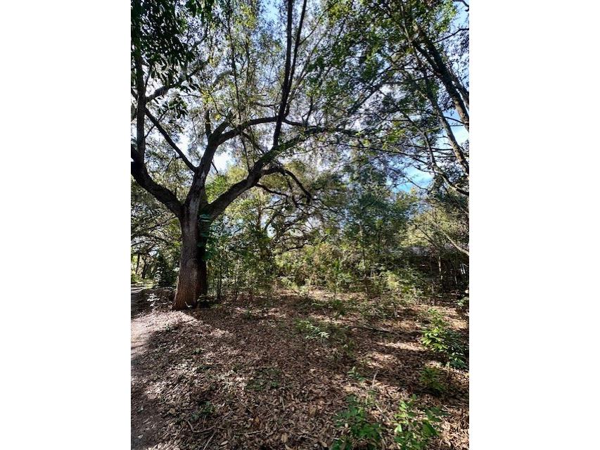 1918 Mountain Lake Cutoff Road Lake Wales FL 33859 O6265623 image36