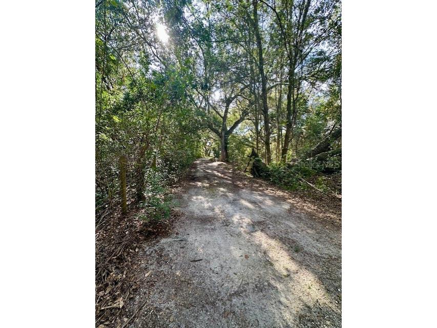 1918 Mountain Lake Cutoff Road Lake Wales FL 33859 O6265623 image37