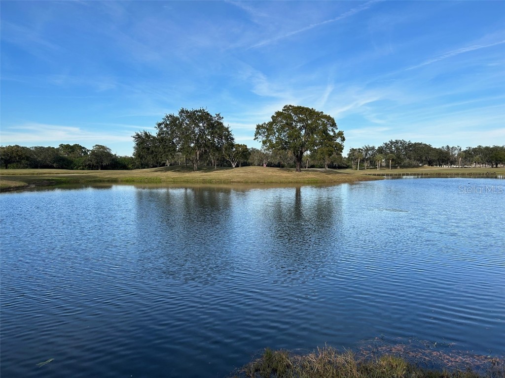 1918 N Pebble Beach Boulevard Sun City Center FL 33573 T3463117 image1