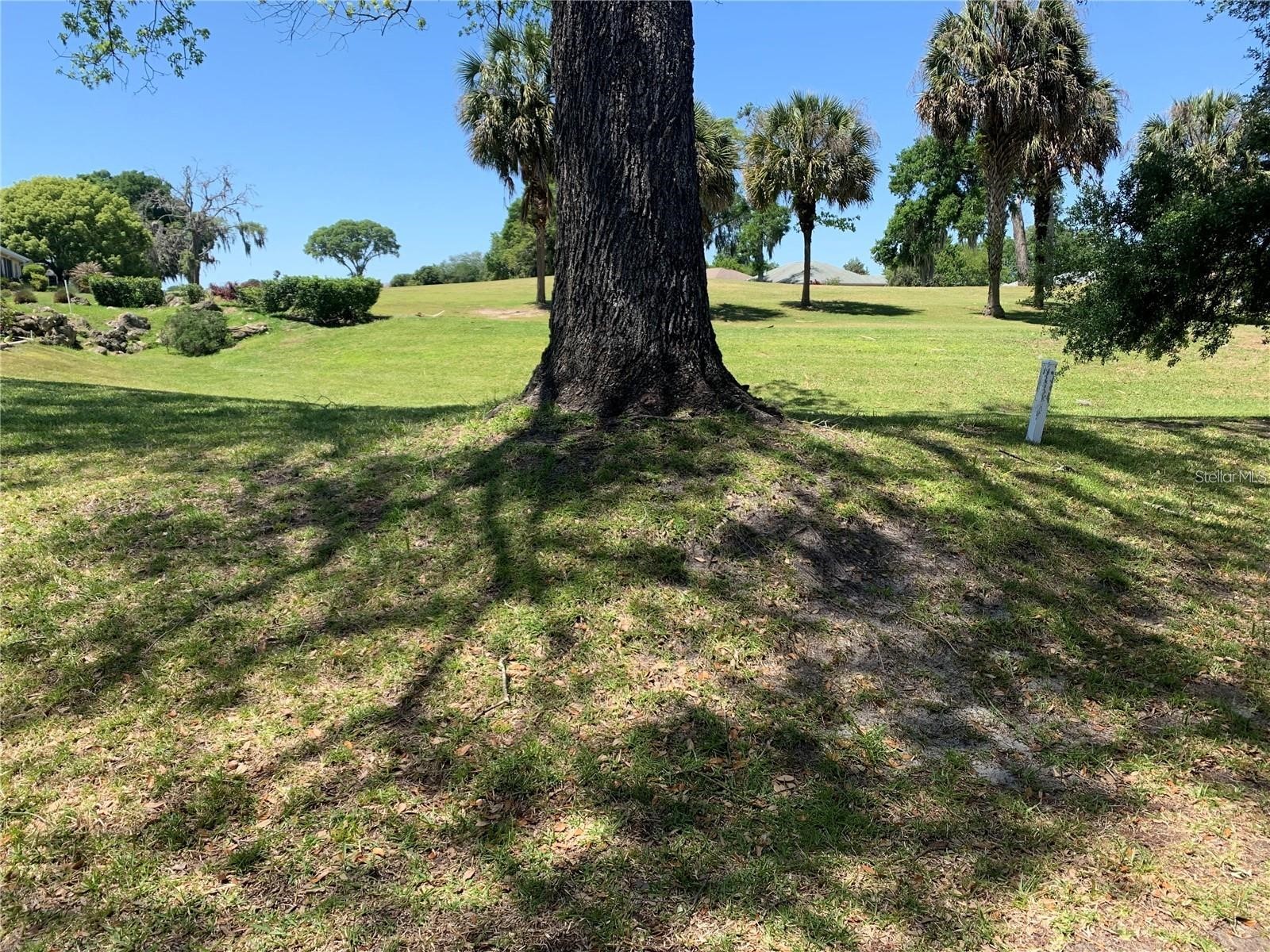 1918 NW 50th Circle Ocala FL 34482 OM721223 image28