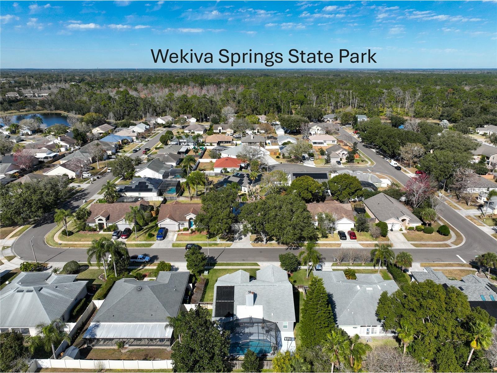 1918 Smoketree Circle Apopka FL 32712 O6379294 image11