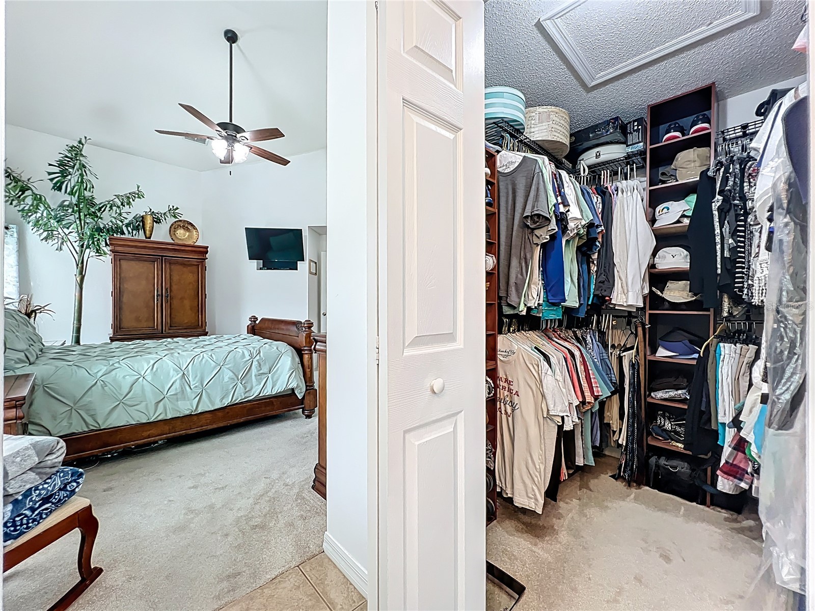 1918 Smoketree Circle Apopka FL 32712 O6379294 image50