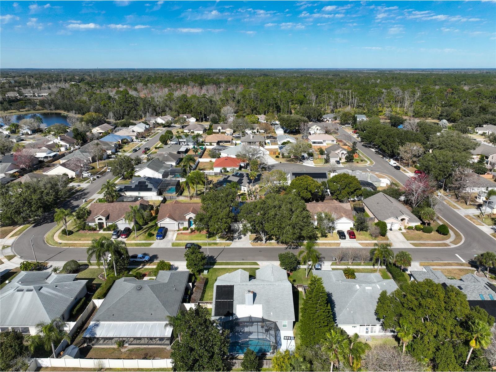 1918 Smoketree Circle Apopka FL 32712 O6379294 image59
