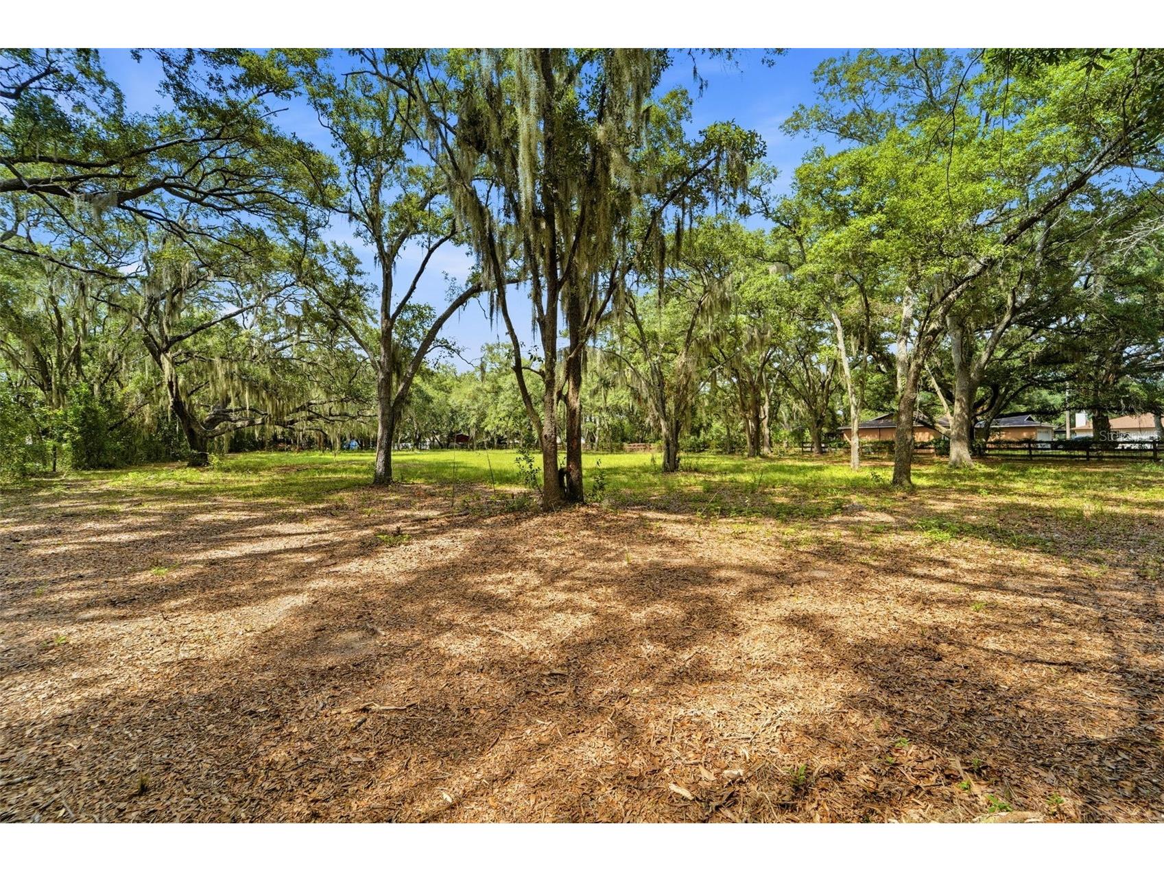 1918 Sydney Road Valrico FL 33594 TB8512852 image27