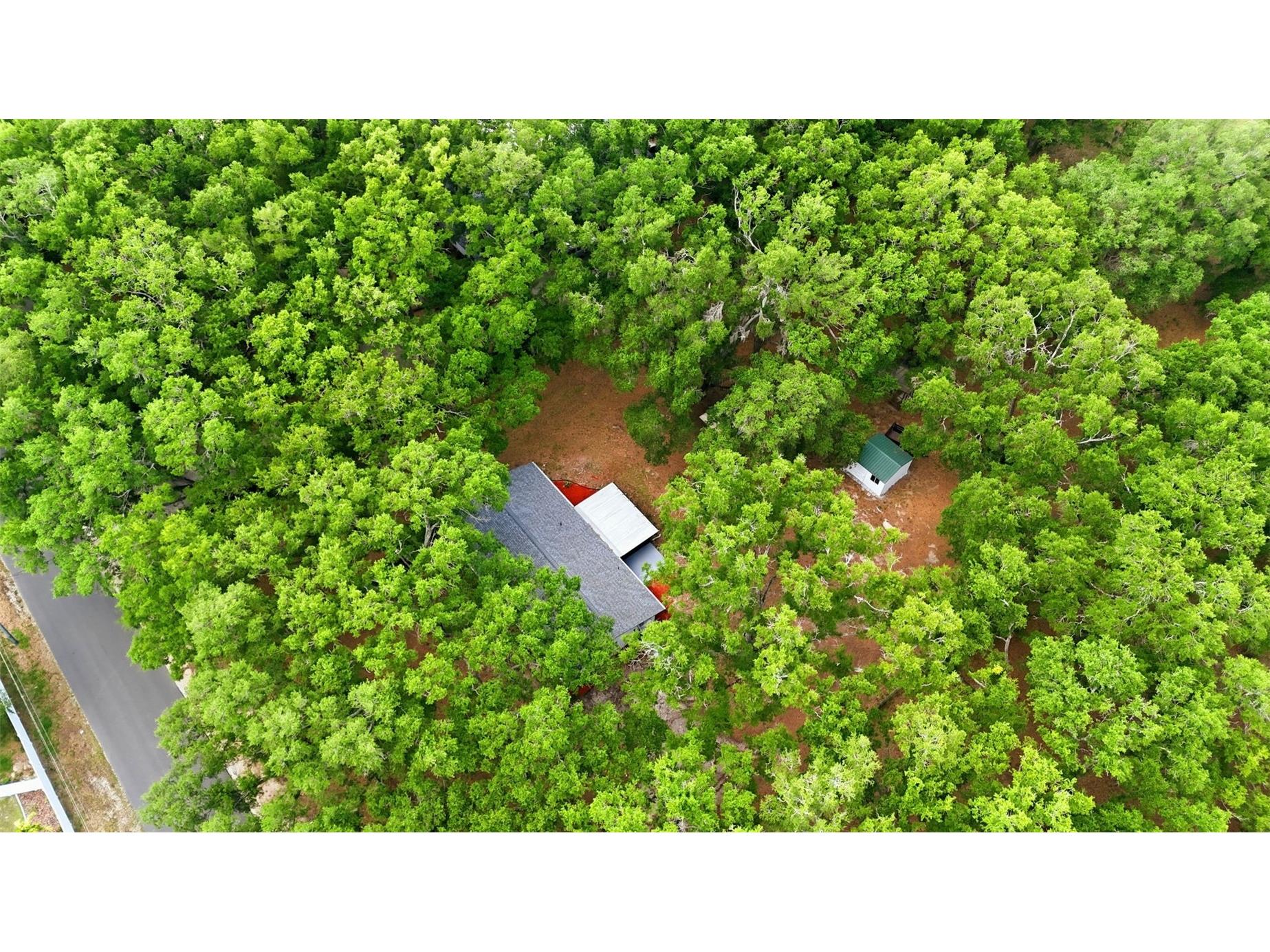 1918 Sydney Road Valrico FL 33594 TB8512852 image31