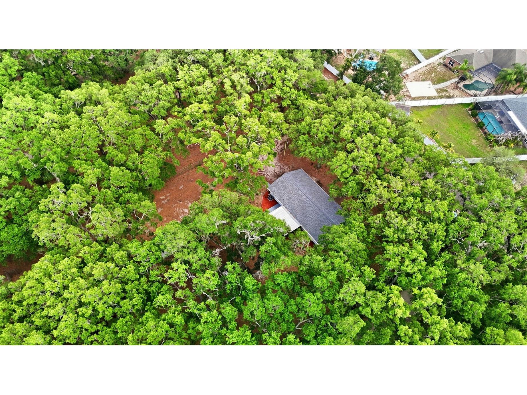 1918 Sydney Road Valrico FL 33594 TB8512852 image32