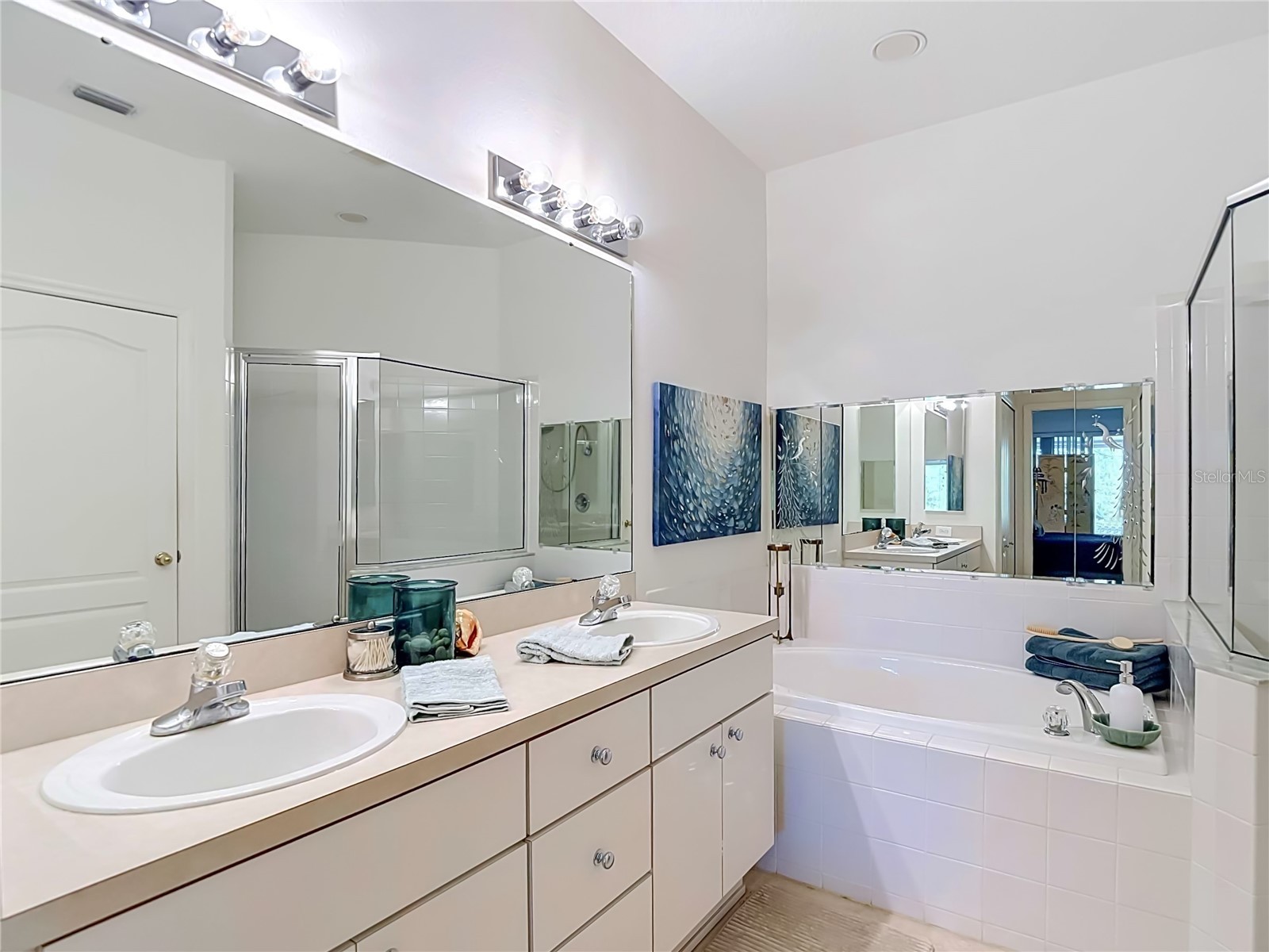 19180 Lake Audubon Drive Tampa FL 33647 TB8502726 image24