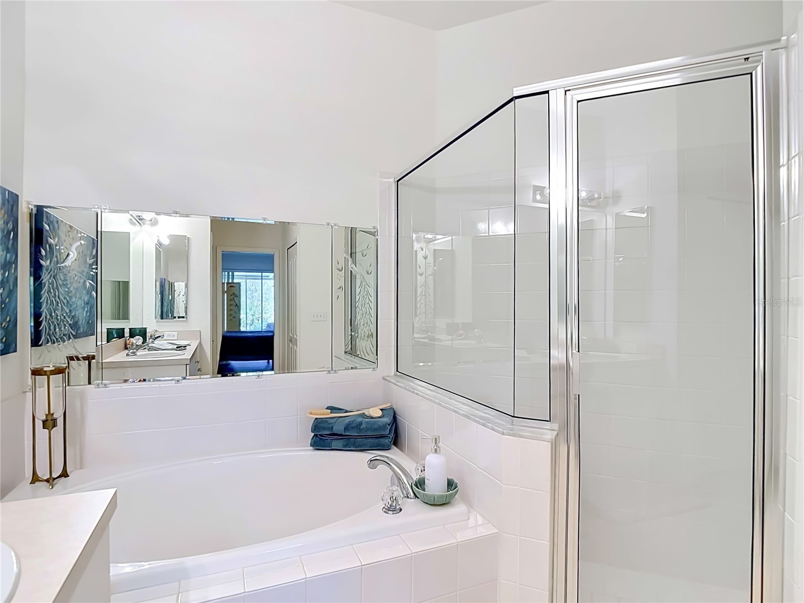 19180 Lake Audubon Drive Tampa FL 33647 TB8502726 image25