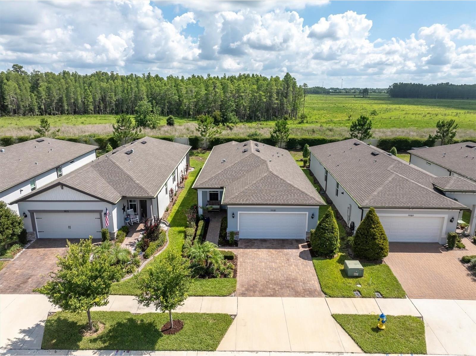 19181 Iron Topsail Isle Land O Lakes FL 34638 W7886714 image2